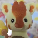 member face