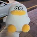 member face