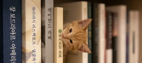 모임 대표 이미지