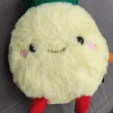 member face
