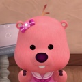 member face