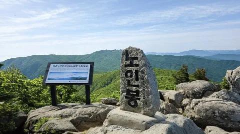 정모 대표 이미지