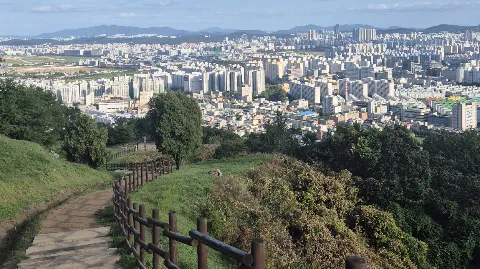 정모 대표 이미지