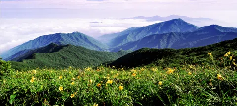 모임 대표 이미지