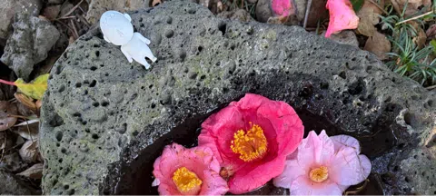 모임 대표 이미지