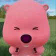 member face
