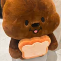 member face