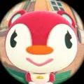 member face
