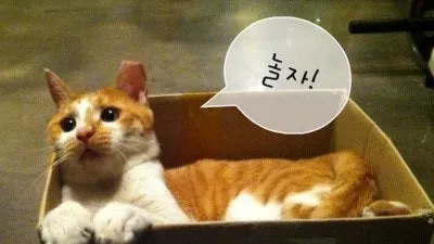 정모 대표 이미지