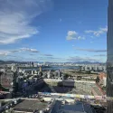 member face