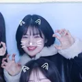 member face