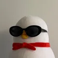 member face