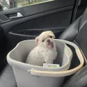 member face
