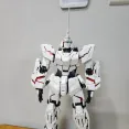 member face