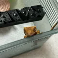 member face