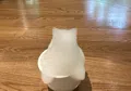 member face