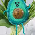 member face