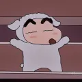 member face