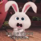 member face