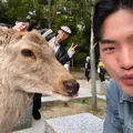 member face