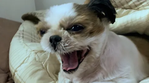 정모 대표 이미지