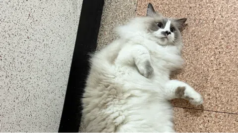 정모 대표 이미지