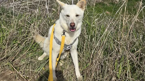 정모 대표 이미지