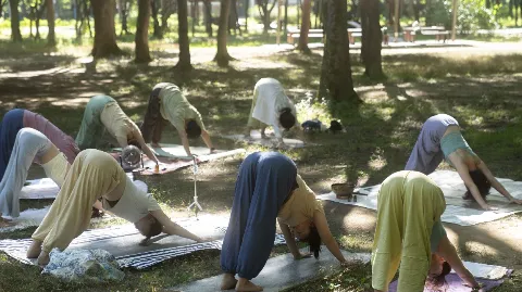 정모 대표 이미지