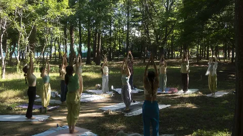 정모 대표 이미지