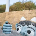 member face