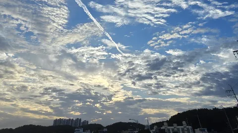 정모 대표 이미지