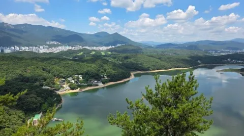 정모 대표 이미지