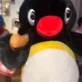 member face