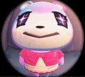 member face