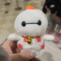 member face