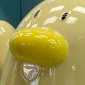 member face