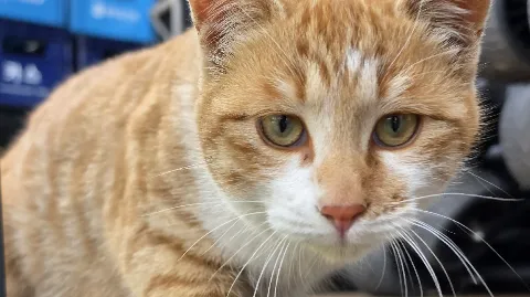 정모 대표 이미지