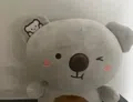 member face