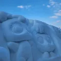 member face