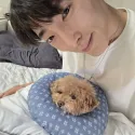 member face