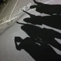 member face