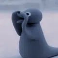 member face