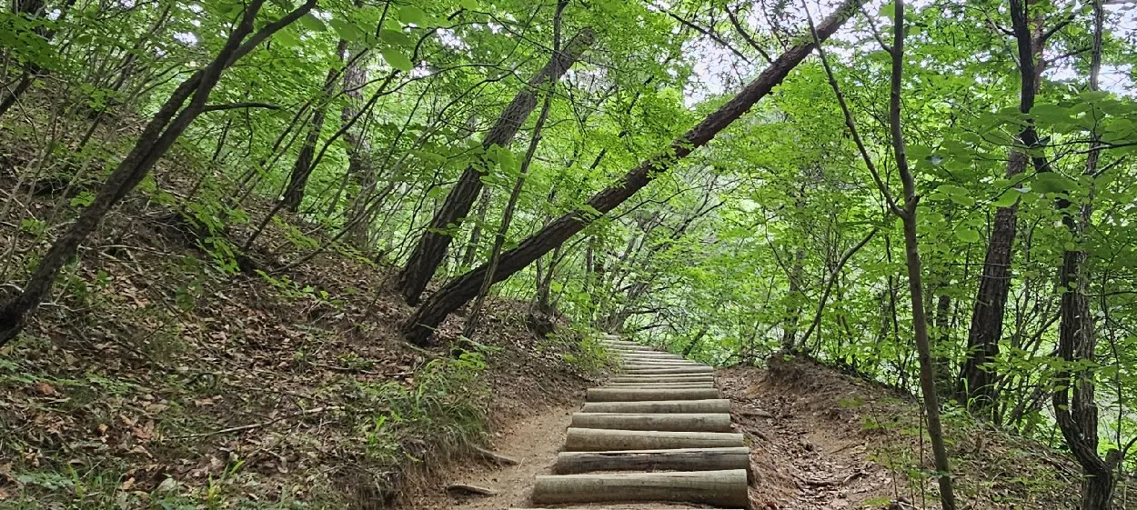 모임 이미지 1