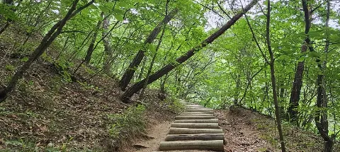 모임 대표 이미지