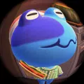 member face