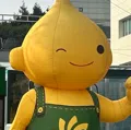 member face