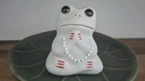 정모 대표 이미지