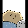 member face