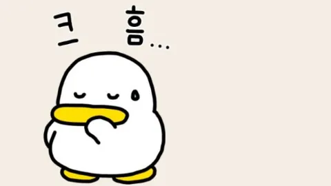 정모 대표 이미지