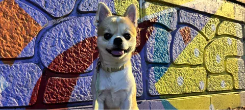 모임 대표 이미지